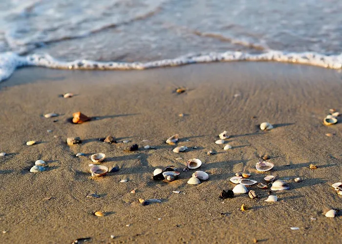 Apartamento In 51276